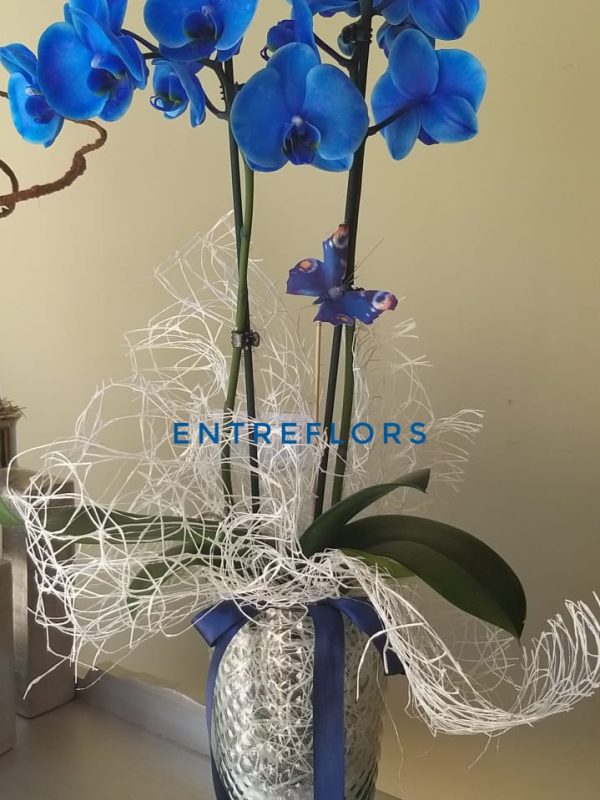 ORQUIDEA-AZUL-BASE-CRISTAL-37,50€